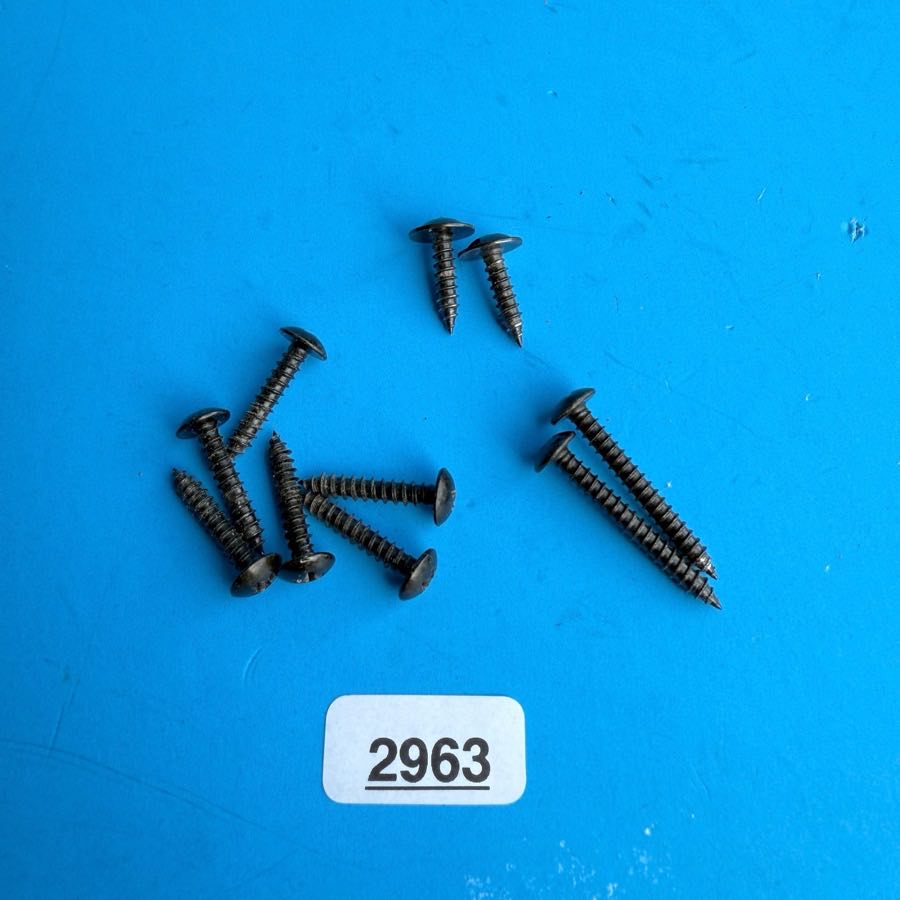 FENDER Frontman 15G (PR495) Guitar Amplifier Part: Random Cabinet Screws
