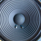 Line 6 Spider III IV 15 Amplifier Part: [11-20-0003] 8" Speaker 15W 4Ohms [V3]